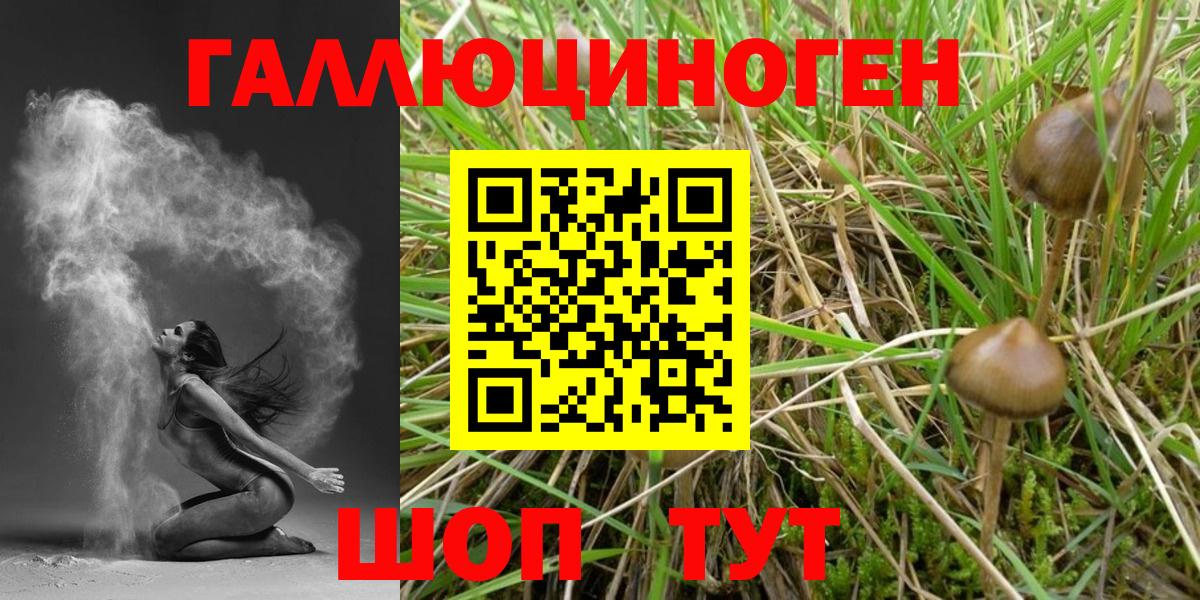 Галлюциногенные грибы MAGIC MUSHROOMS  Псилоцибиновые грибы Cubensis  Вход с VPN  Кириши 